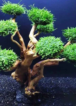 Aquarium Decoration Plant Moss Tree Landscaping Wood Plant Root Driftwood Aquatic Grass Fish Tank Accessories without Moss