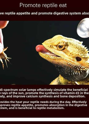 MCLANZOO All-in-One Reptile Sun Lamp | UVA, UVB & Heat in One | For Desert Tortoise & Bearded Dragon