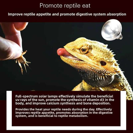 MCLANZOO All-in-One Reptile Sun Lamp | UVA, UVB & Heat in One | For Desert Tortoise & Bearded Dragon