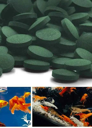 100/500pcs Spirulina Tablets Enrichment Favorite Pet Food fish crystal red shrimp pet food