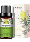 Bergamot / 10ml
