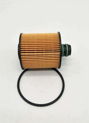 55223416 oil filter for ALFA ROMEO GIULIETTA . FIAT DOBLO/500. JEEP CHEROKEE . OPEL COMBO . SUZUKI SX4 VAUXHALL COMBO