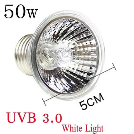 220V 25/50/75W UVA+UVB Reptile Lamp Bulb Turtle Basking UV Light Bulbs Heating Lamp Amphibians Lizards Temperature Controller