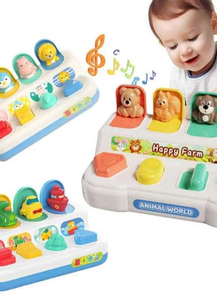 Interactive Activity Pop Up Toy for Babies Cause and Effect Toy Baby Development Games Montessori Educational Learning Toys