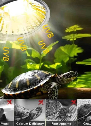 25/50/75W UVA UVB Reptile Lamp Bulb Turtle Basking UV Light Bulbs Heating Light Pet Heat Lamp Amphibians Full Sunlamp