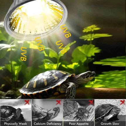 25/50/75W UVA UVB Reptile Lamp Bulb Turtle Basking UV Light Bulbs Heating Light Pet Heat Lamp Amphibians Full Sunlamp