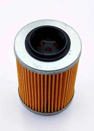 2PCS Oil Filter for CFMoto 400 450 500 520 600 625 800 X8 U8 Z8 800XC 850 950 0800-011300-0004 0800-011300 0800-011300-00030