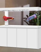 Glass Aquariums for Indoor Fish Large Freshwater FishTanks Full Set Frameless Houseuse Fish Tanks