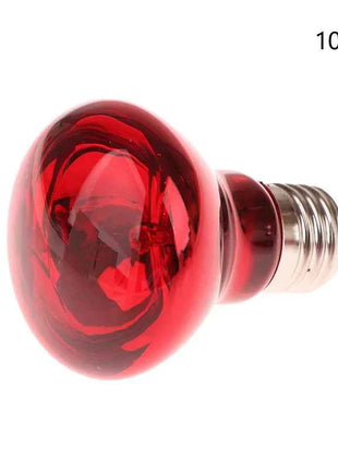 25/40/50/60/75/100W E27 UVA Poultry Bulb Infrared Night Light Day Poultry Heating Bulb For Plants Amphibians Reptile Pets