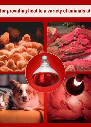 Day Night Infrared Heat Lamp 100W/150W/200W/250W/275W Red Heat Lamp Bulb for Brooder Coop Chicks Snake Amphibian Pet Reptile