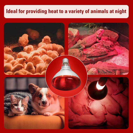 Day Night Infrared Heat Lamp 100W/150W/200W/250W/275W Red Heat Lamp Bulb for Brooder Coop Chicks Snake Amphibian Pet Reptile