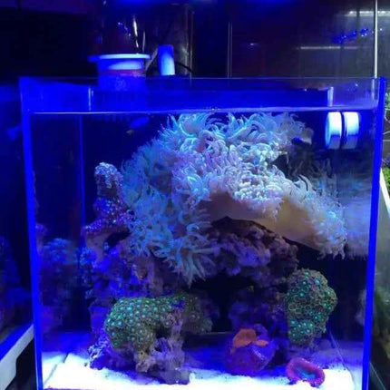 Spectra Nano 029 Aquarium Light 30W Saltwater Lighting with Touch Control for Coral Reef Fish Tank