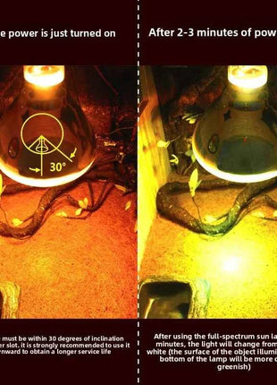 MCLANZOO All-in-One Reptile Sun Lamp | UVA, UVB & Heat in One | For Desert Tortoise & Bearded Dragon