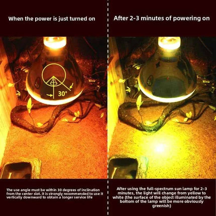 MCLANZOO All-in-One Reptile Sun Lamp | UVA, UVB & Heat in One | For Desert Tortoise & Bearded Dragon