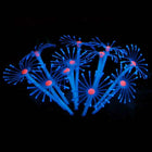 1Pc Silicone Glowing Artificial Fish Tank Aquarium Coral Plants Ornament Underwater Pets Decor Aquatic Pet Supplies Decoration