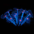 Blue / 1Pc / China