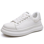 Beige / 43
