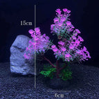 Pink Flower Tree