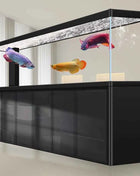 Glass Aquariums for Indoor Fish Large Freshwater FishTanks Full Set Frameless Houseuse Fish Tanks