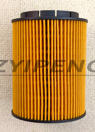 Filtro olio OEM 021115562A compatibile con Audi A8 Q7 Porsche Cayenne VW Passat Touareg 021115561B E1001HD28