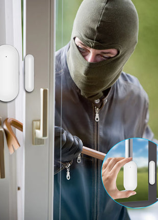 Protezione di sicurezza wireless WiFi + GSM/4G e 2G App Smart Home e Tuya Sistema di allarme di sicurezza domestica Alexa Funzionamento remoto 433 Mhz
