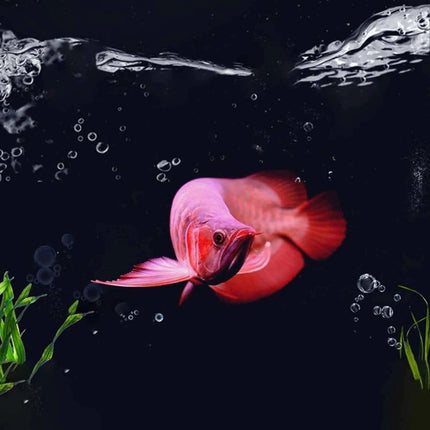 250g/bag Aquarium Filter Media Activated Carbon Ceramic Ring Aquarium Bio Ball Filter Water Quality Fish Tank Filter Accessories