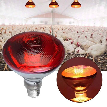 Infrared Heat Lamp Waterproof Anti-Explosion Thickened Light Bulbs For Piglet Chicken Birds Outdoor Heating Cooling Lighting