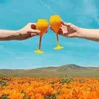 6pcs pack Champagne Flute Acrylic Yellow Trendy Champagne Flutes Polycarbonate Acrylic Poolside Glasses Goblets