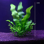 5HYQ35HJ