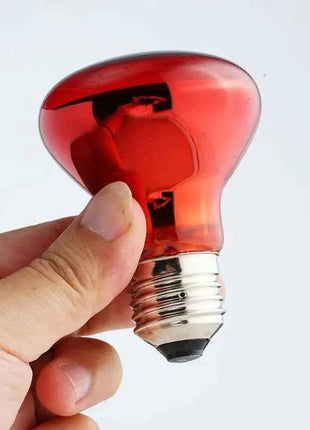 Pet Heating Lamp UVA Day Night Amphibian Amphibian Snake Lamp Heat Reptile Bulb Light Heat Reptile Bulb 25/50/75/100W 220-240V
