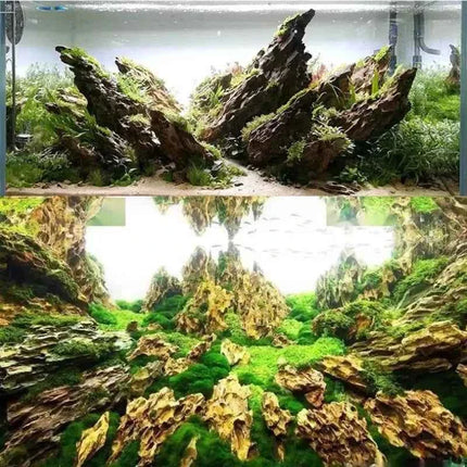 250g 500g 1000g Natural Aquarium Decor Stone Rockery Landscaping Fish Tank Microporous Stone Good for Plants Growth