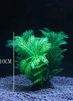 10cm Little Grass