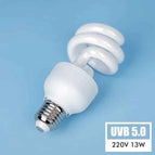 5.0 13W