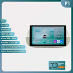 P1 W-4Core-1G 32G / GERMANY
