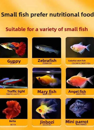 SUNSUN Premium Small Granule Fish Food for Guppies and Tetras, Color Enhancing & Complete Nutrition for Small Tropical Fish