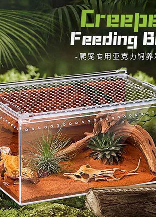 Seamless Transparent Preassembled Reptile Habitat Tank For Hermit Crab Frog Gecko Scorpion Snake Tabletop Home Display For Kids