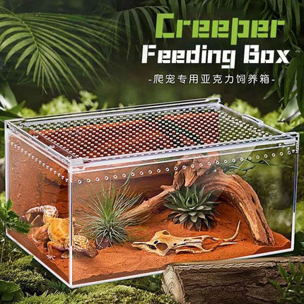 Seamless Transparent Preassembled Reptile Habitat Tank For Hermit Crab Frog Gecko Scorpion Snake Tabletop Home Display For Kids