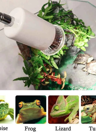 UVA+UVB 3.0 Reptile lamp Set with Clip-on Bulb Lamp Holder Turtle Basking UV Heating Lamp Kit Tortoises Light Lizards Lighting