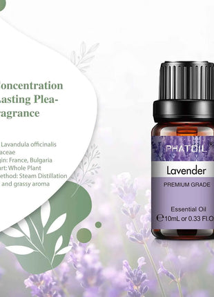 PHATOIL Natural Plant Essential Oil 10ml Eucalyptus Lavender Bergamot Vanilla Peppermint 1PCS Aroma Essential Oils For Diffuser