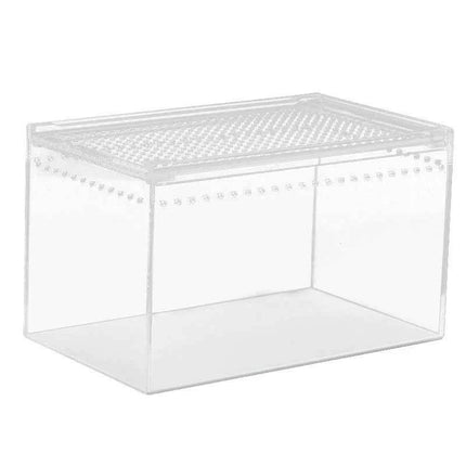 Seamless Transparent Preassembled Reptile Habitat Tank For Hermit Crab Frog Gecko Scorpion Snake Tabletop Home Display For Kids