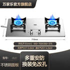Vanward Gas Stove Home Kitchen Natural Gas LPG Cooking Stove with High Efficiency LDW