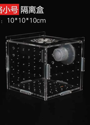 Acrylic Isolation Box Fish Tank Transparent Aquarium Small Fry Incubator Breeding Box Single Double Multi-grid Isolation Net