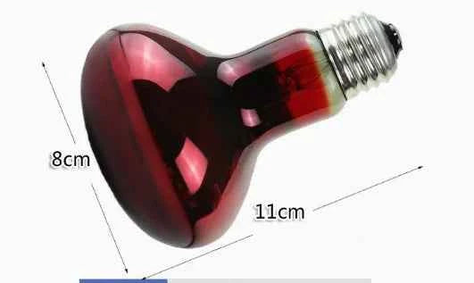 Pet Heating Lamp UVA Day Night Amphibian Amphibian Snake Lamp Heat Reptile Bulb Light Heat Reptile Bulb 25/50/75/100W 220-240V