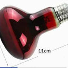 Pet Heating Lamp UVA Day Night Amphibian Amphibian Snake Lamp Heat Reptile Bulb Light Heat Reptile Bulb 25/50/75/100W 220-240V