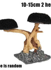 10-15cm 2 heads
