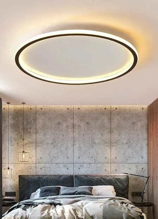 Lampada da soffitto a LED con telecomando Lampada da camera da letto moderna semplice ultrasottile Lustre Decorazioni per la casa Sala da pranzo Soggiorno Cucina Corridoio