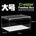 Seamless Transparent Preassembled Reptile Habitat Tank For Hermit Crab Frog Gecko Scorpion Snake Tabletop Home Display For Kids