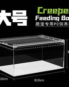 Seamless Transparent Preassembled Reptile Habitat Tank For Hermit Crab Frog Gecko Scorpion Snake Tabletop Home Display For Kids