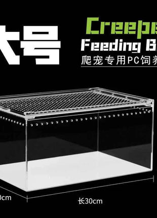 Seamless Transparent Preassembled Reptile Habitat Tank For Hermit Crab Frog Gecko Scorpion Snake Tabletop Home Display For Kids