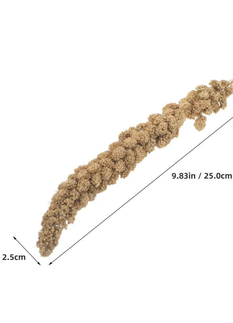 Millet Treat for Pet Birds Bird Snack Natural Dried Millet for Parakeets Parrots Cockatiels Lovebirds Budgies Finches Supplies